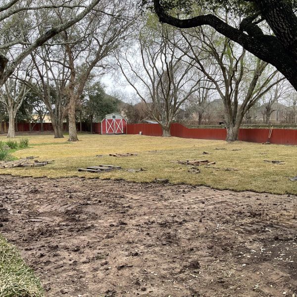 New-Ground-Services_Landscaping-in-Houston-392