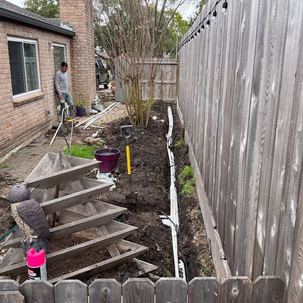 New-Ground-Services_Landscaping-in-Houston-287