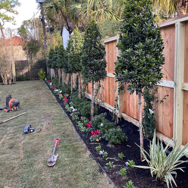 New-Ground-Services_Landscaping-in-Houston-398