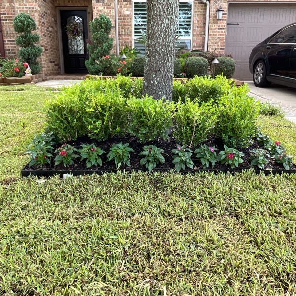 New-Ground-Services_Landscaping-in-Houston-216