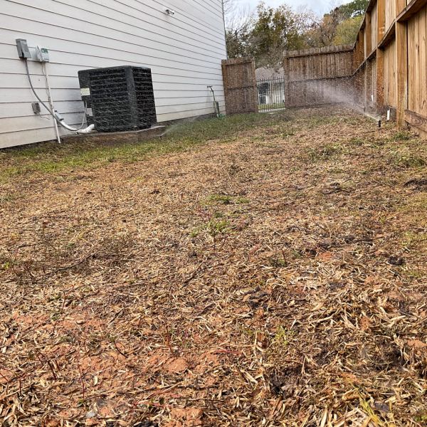 New-Ground-Services_Landscaping-in-Houston-329