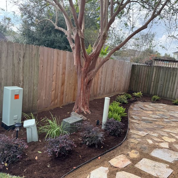 New-Ground-Services_Landscaping-in-Houston-262