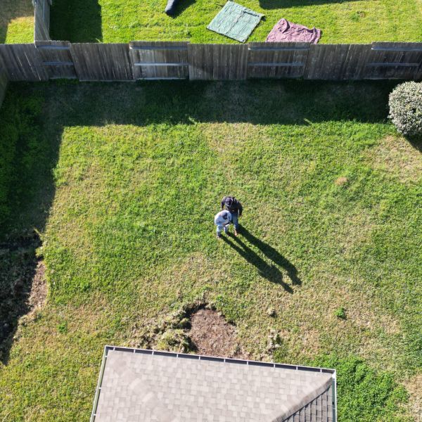 New-Ground-Services_Landscaping-in-Houston-350