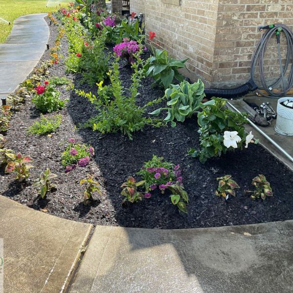 New-Ground-Services_Landscaping-in-Houston-034