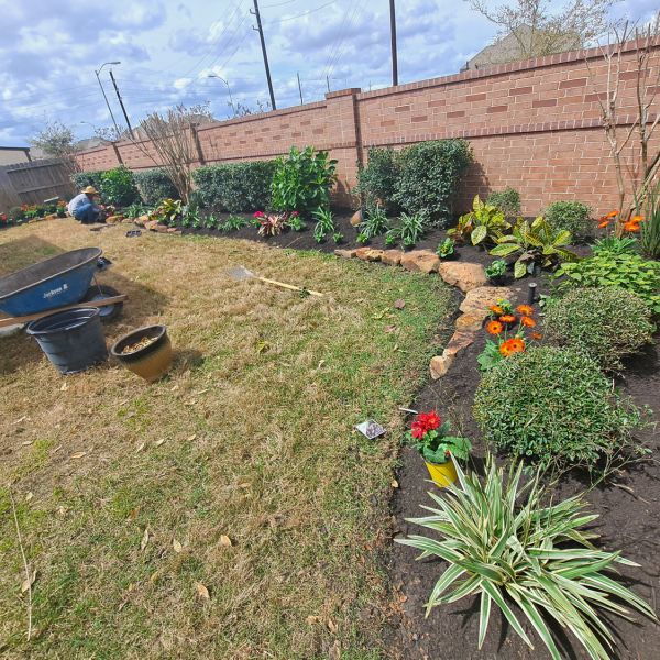 New-Ground-Services_Landscaping-in-Houston-429