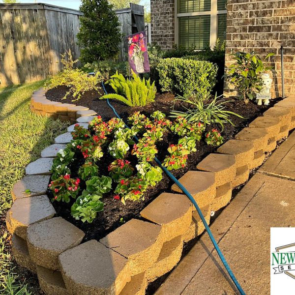 New-Ground-Services_Landscaping-in-Houston-192