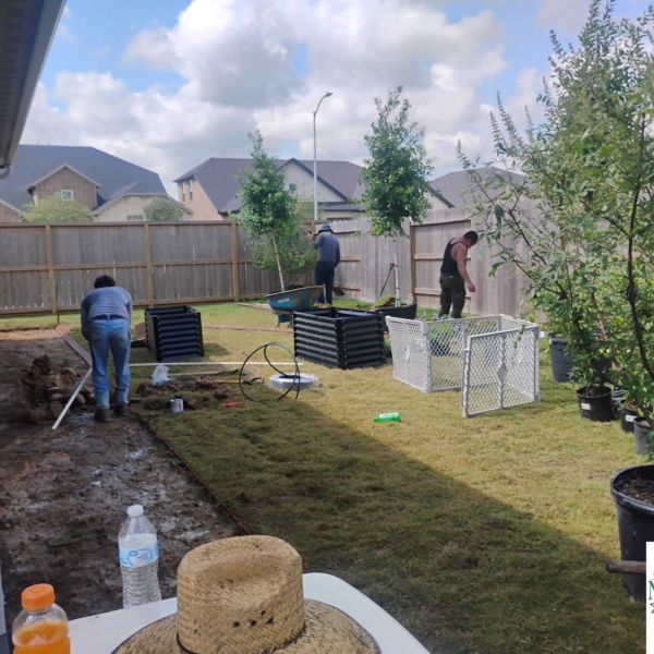 New-Ground-Services_Landscaping-in-Houston-021