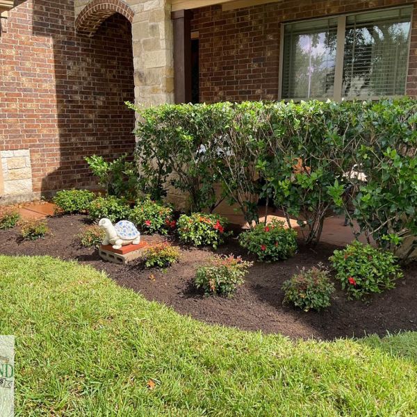 New-Ground-Services_Landscaping-in-Houston-031