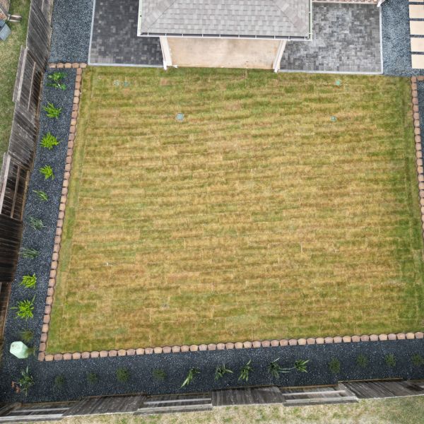 New-Ground-Services_Landscaping-in-Houston-345