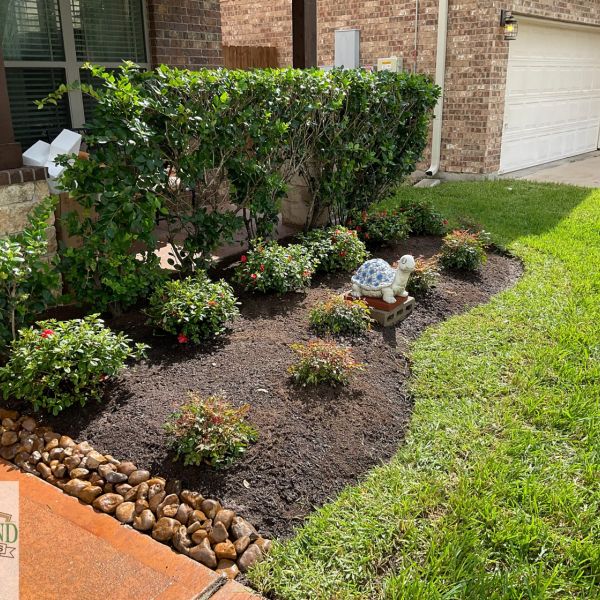 New-Ground-Services_Landscaping-in-Houston-220
