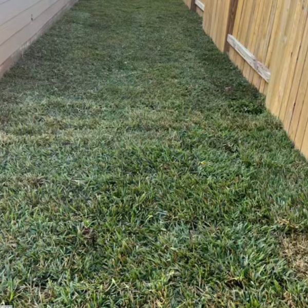 New-Ground-Services_Landscaping-in-Houston-055