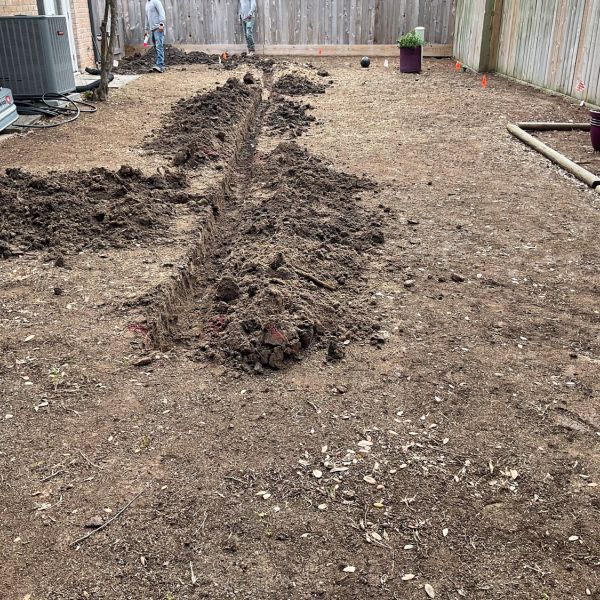 New-Ground-Services_Landscaping-in-Houston-291