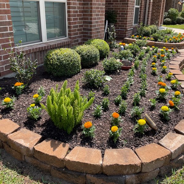 New-Ground-Services_Landscaping-in-Houston-386