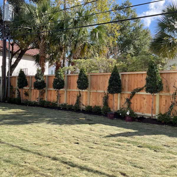 New-Ground-Services_Landscaping-in-Houston-401