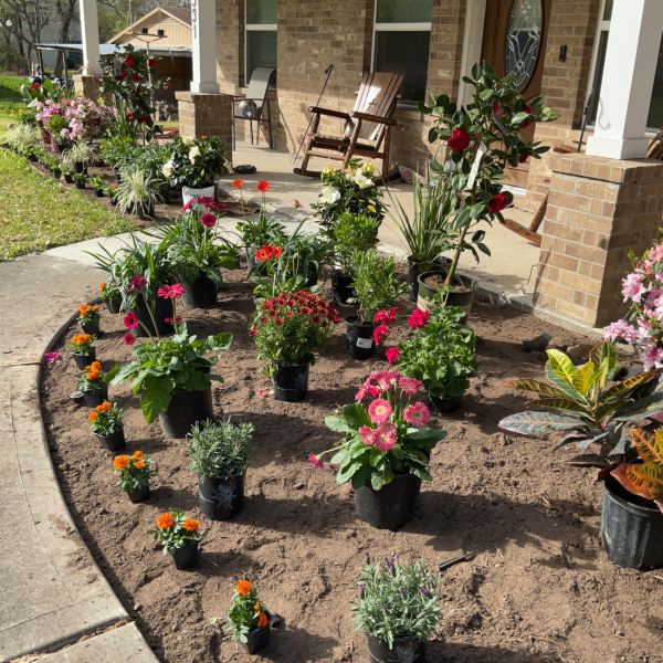 New-Ground-Services_Landscaping-in-Houston-230