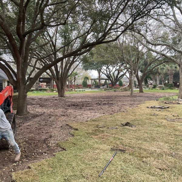 New-Ground-Services_Landscaping-in-Houston-394