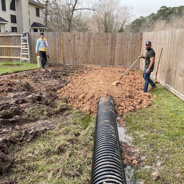 New-Ground-Services_Landscaping-in-Houston-252