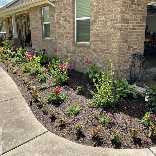 New-Ground-Services_Landscaping-in-Houston-041