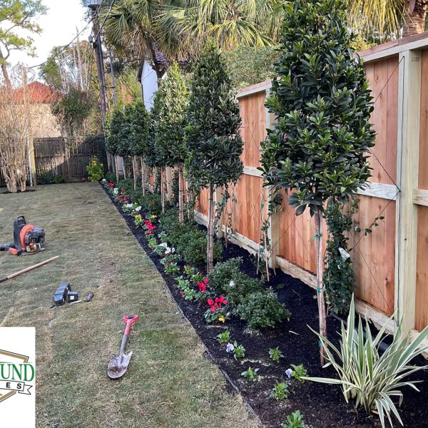 New-Ground-Services_Landscaping-in-Houston-207
