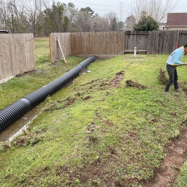 New-Ground-Services_Landscaping-in-Houston-253