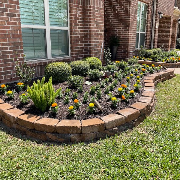 New-Ground-Services_Landscaping-in-Houston-385