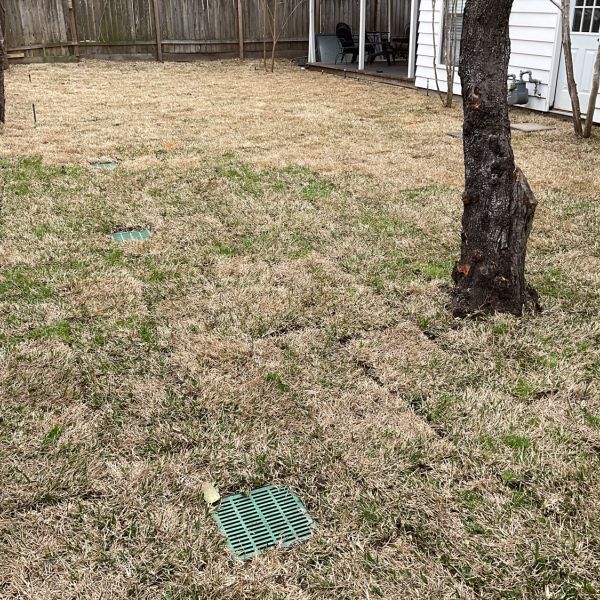 New-Ground-Services_Landscaping-in-Houston-294