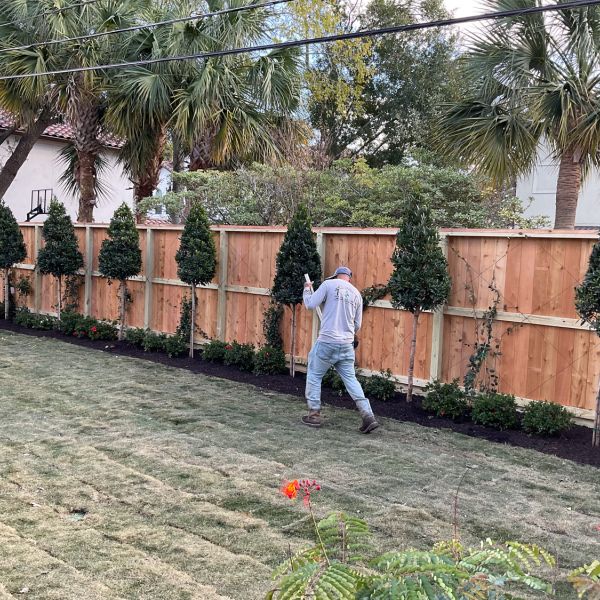 New-Ground-Services_Landscaping-in-Houston-399