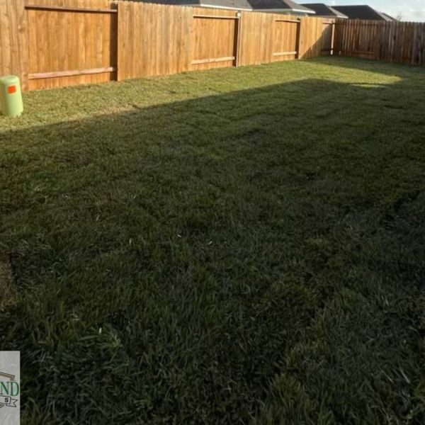 New-Ground-Services_Landscaping-in-Houston-067