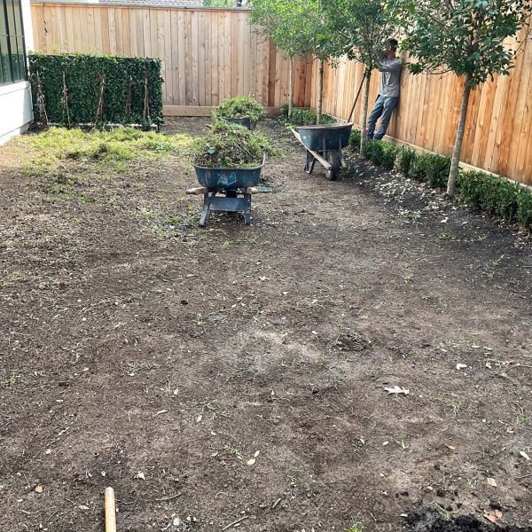 New-Ground-Services_Landscaping-in-Houston-409