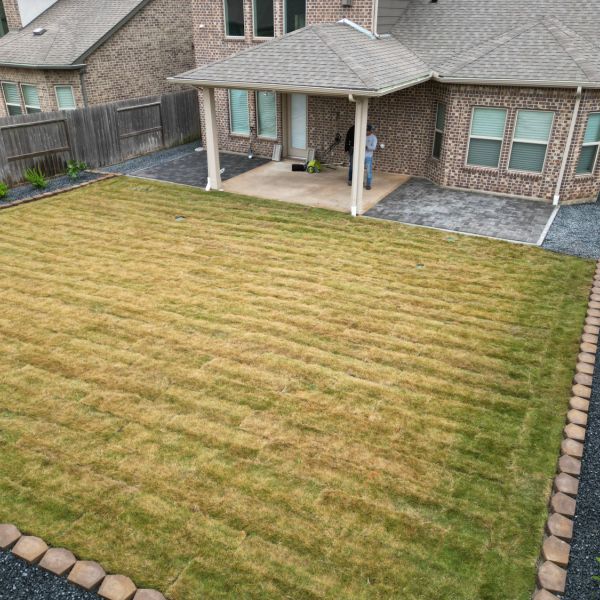New-Ground-Services_Landscaping-in-Houston-344