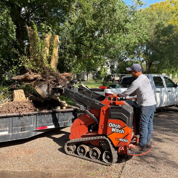 New-Ground-Services_Landscaping-in-Houston-355