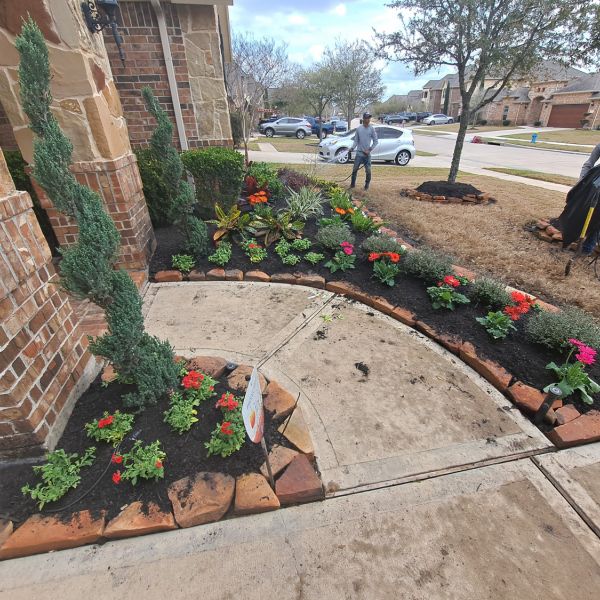 New-Ground-Services_Landscaping-in-Houston-430