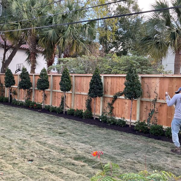 New-Ground-Services_Landscaping-in-Houston-400