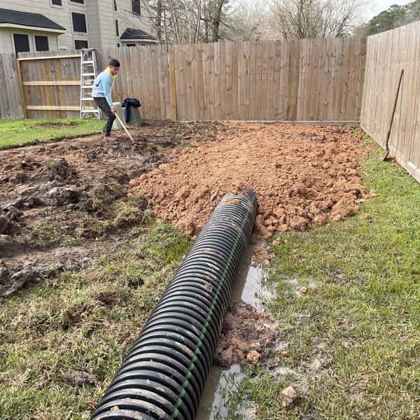 New-Ground-Services_Landscaping-in-Houston-251