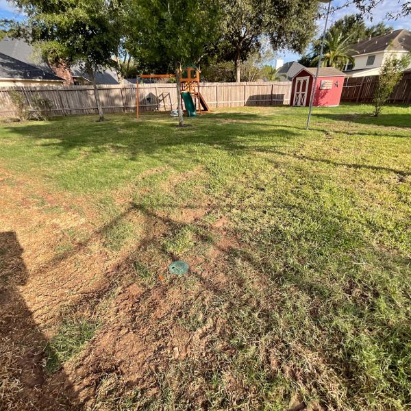 New-Ground-Services_Landscaping-in-Houston-333