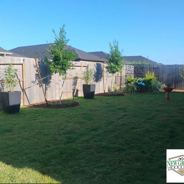 New-Ground-Services_Landscaping-in-Houston-027